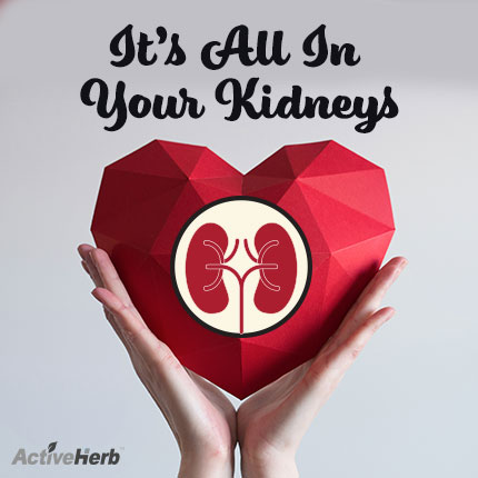 Sexual Wellness In Chinese Medicine: It’s All In Your Kidneys