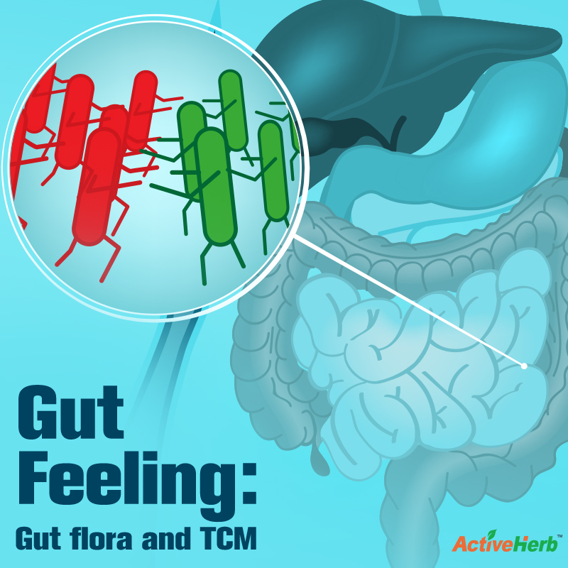 Gut Feeling: Gut Flora and TCM