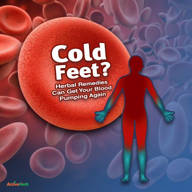 Cold Feet? These 3 Herbal Formulas Support Blood Circulation