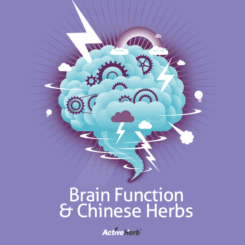 May Chinese Herbs Help With Brain Function?