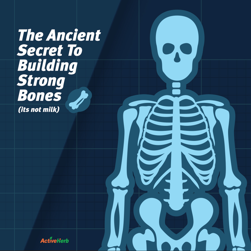 The Ancient Secret To Building Strong Bones (It’s Not Milk!)