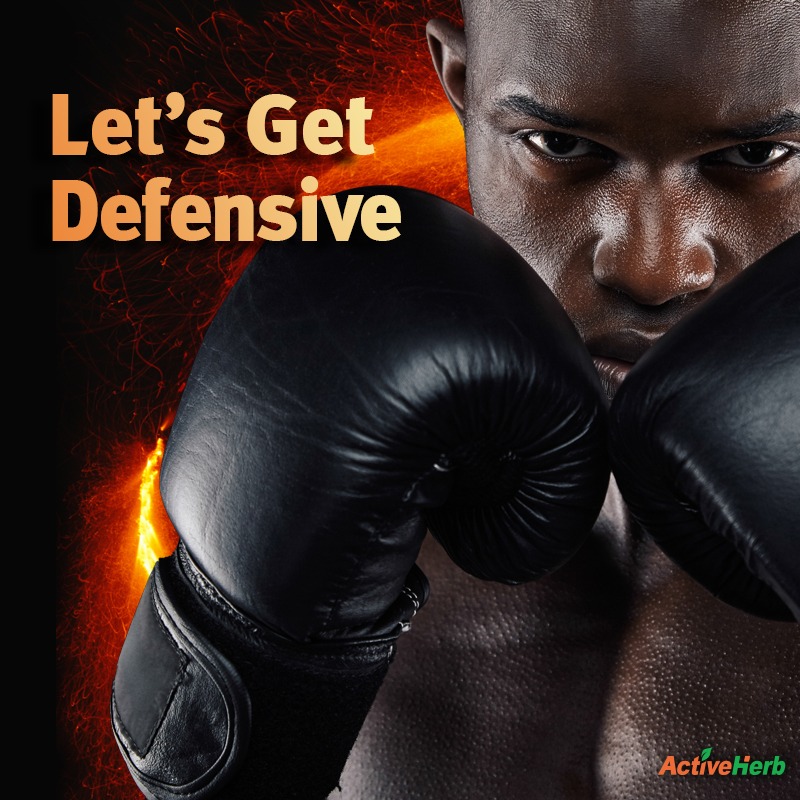 It’s Time To Get Defensive! How To Strengthen Your Body’s Defensive Qi.