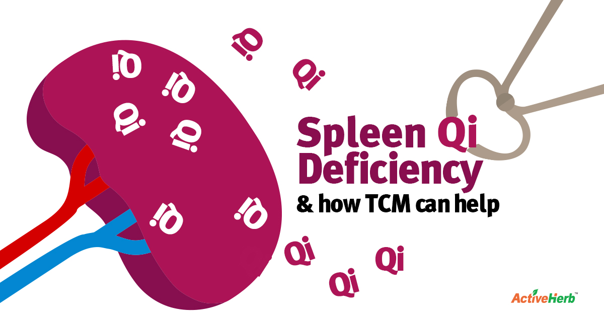 spleen-qi-deficiency-what-is-it-and-how-can-tcm-help-overcome-it