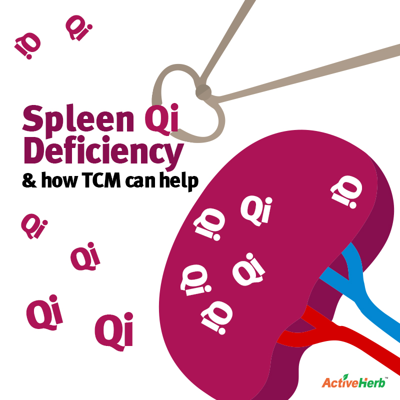 Spleen Qi Deficiency: What Is It And How Can TCM Help Overcome It?