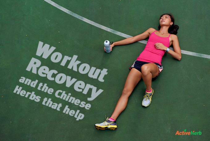 TCM herbs for workout recovery