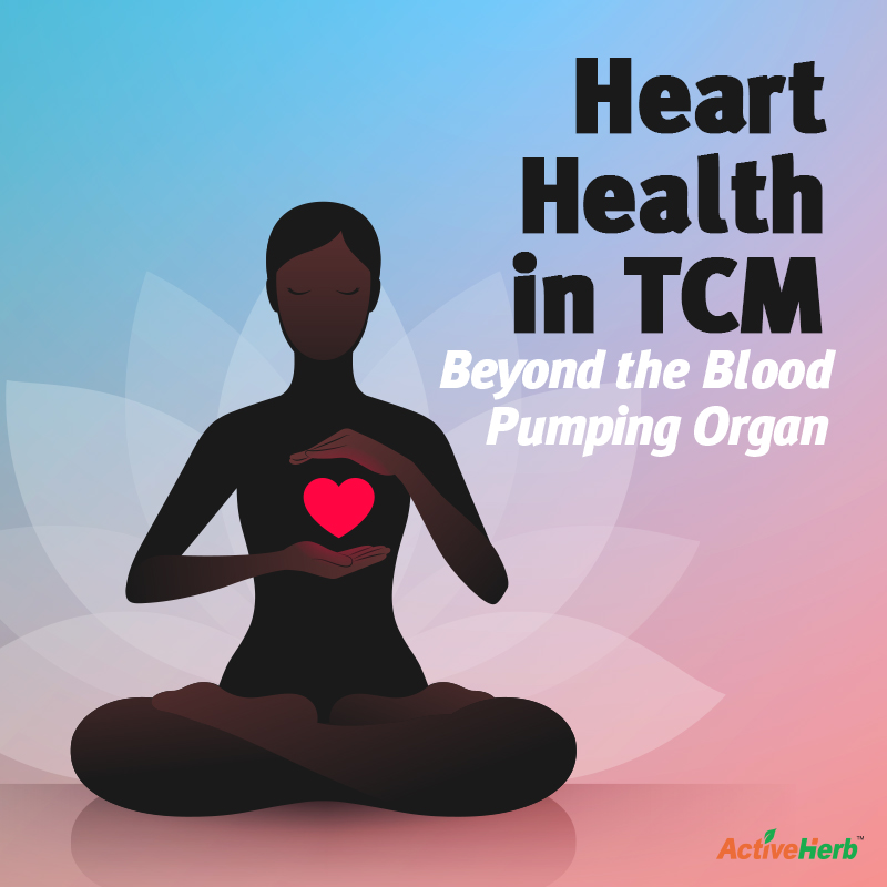 Heart Health in TCM: Beyond The Blood-Pumping Organ