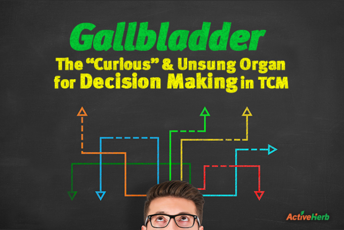 What does the gallbladder do in TCM?