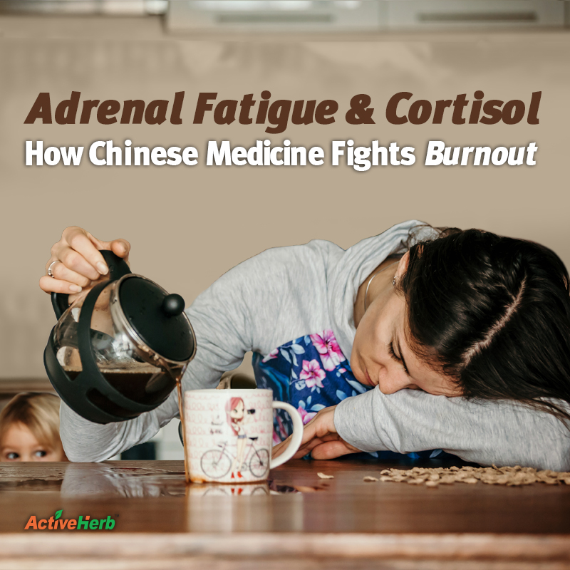 Adrenal Fatigue And Cortisol: How Chinese Medicine Fights Burnout