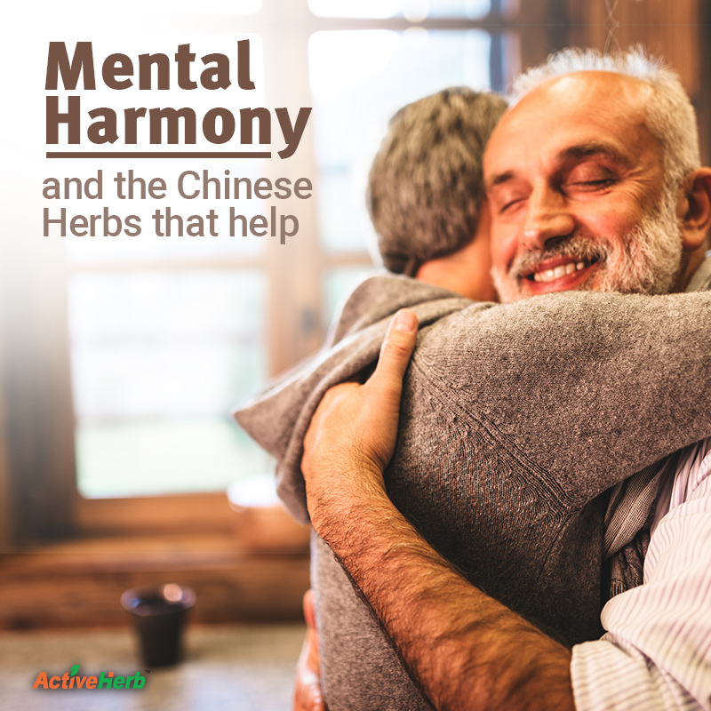 How Does TCM Support Mental Harmony?