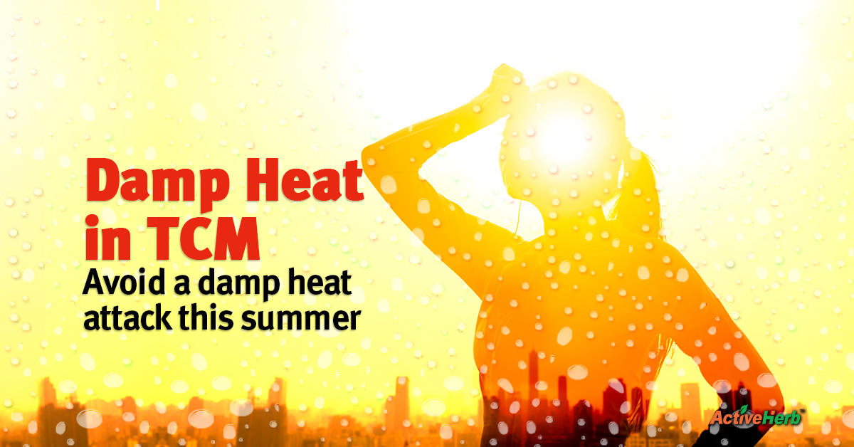 what-is-damp-heat-in-tcm-how-do-you-know-if-you-have-it-activeherb