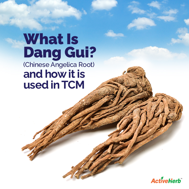 What Is Dang Gui (Chinese Angelica Root) Used For In TCM?