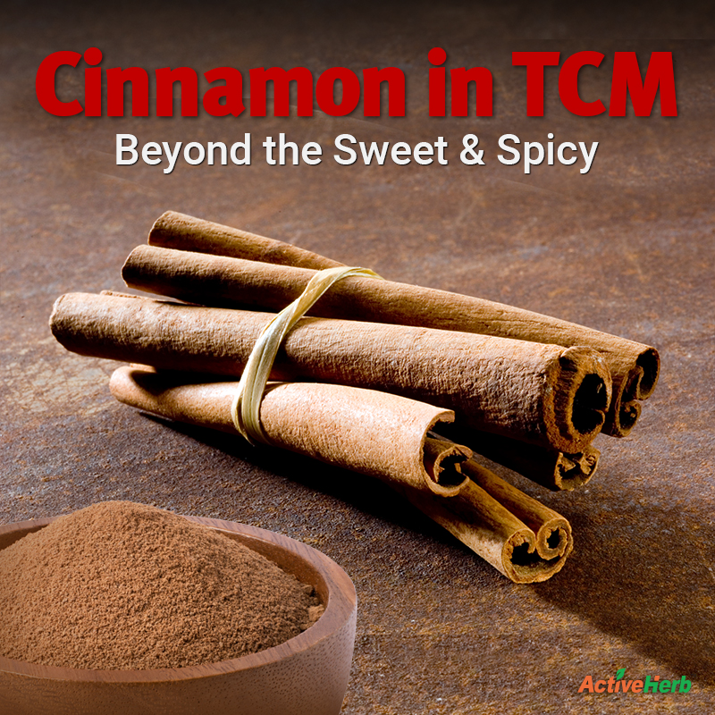 Cinnamon Uses In TCM: Beyond The Sweet & Spicy