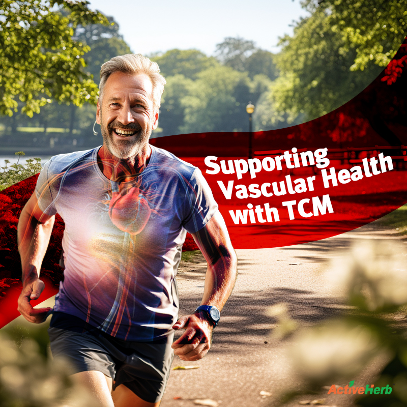 Supporting Vascular Health In TCM