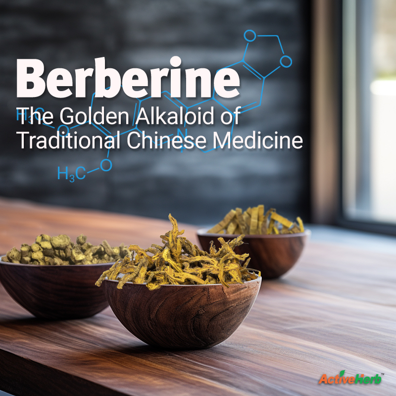 Berberine: The Golden Alkaloid of Traditional Chinese Medicine