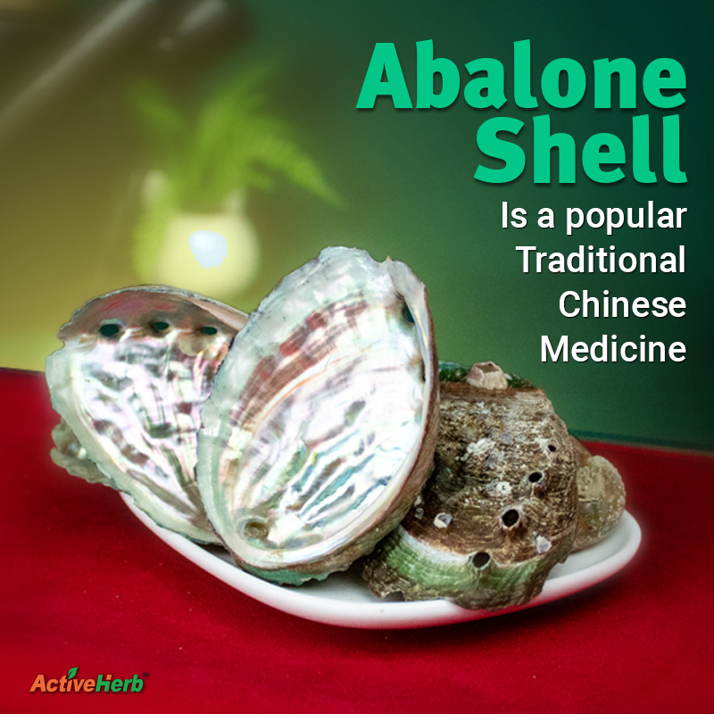 No Baloney, Abalone Shell Is A Popular Traditional Chinese Medicine