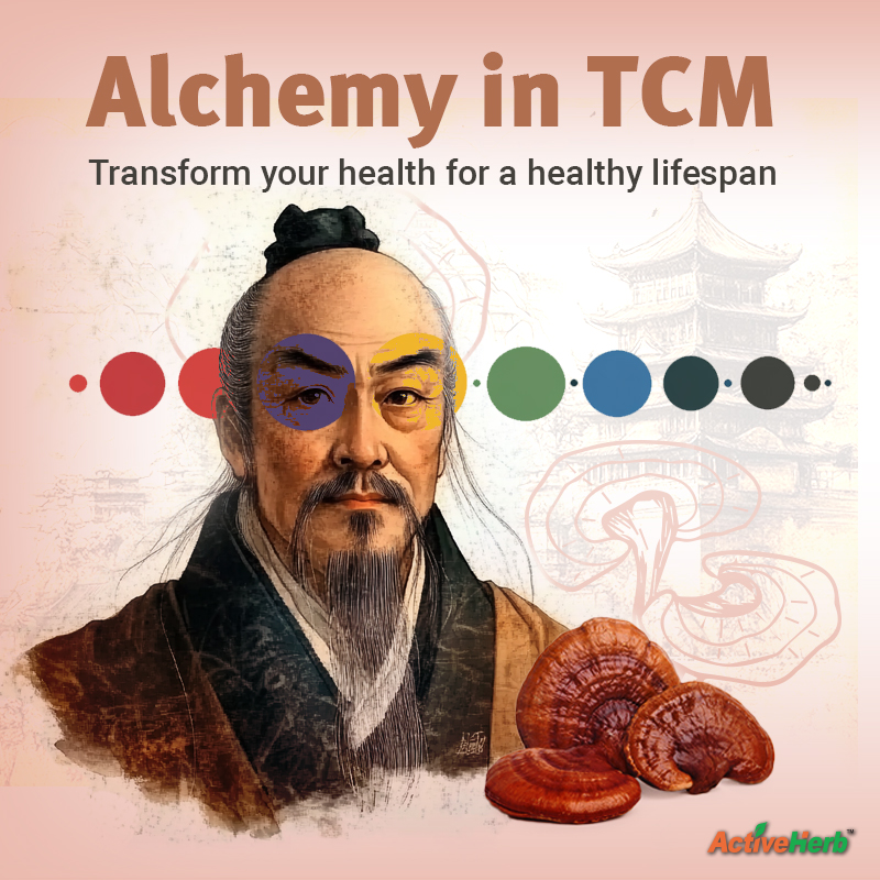 Alchemy in TCM: Transform Your Health For A Healthy Lifespan