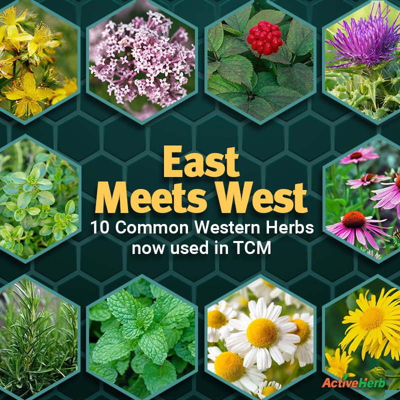 East Meets West: 10 Common Western Herbs Now Used in TCM