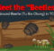 Meet the "Beetles!"