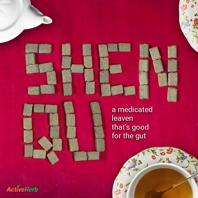 Shen Qu: A Medicated Leaven That’s Good For The Gut