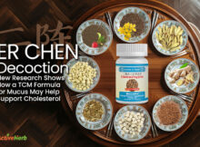 Er Chen Decoction: New Research Shows How a TCM Formula for Mucus May Help Support Cholesterol