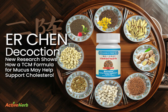 Er Chen Decoction: New Research Shows How a TCM Formula for Mucus May Help Support Cholesterol