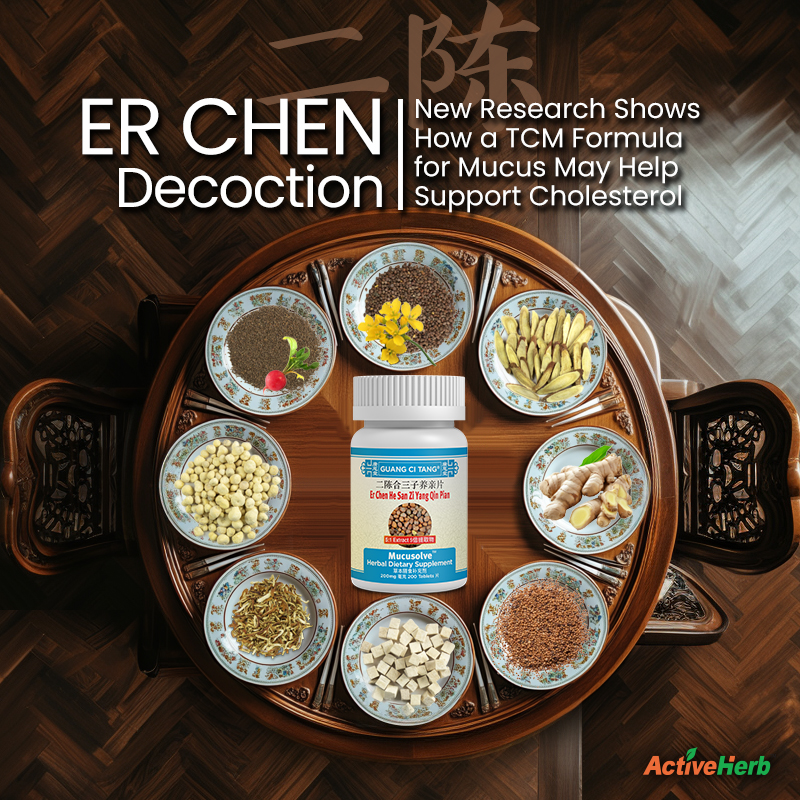 Er Chen Decoction: New Research Shows How a TCM Formula for Mucus May Help Support Cholesterol