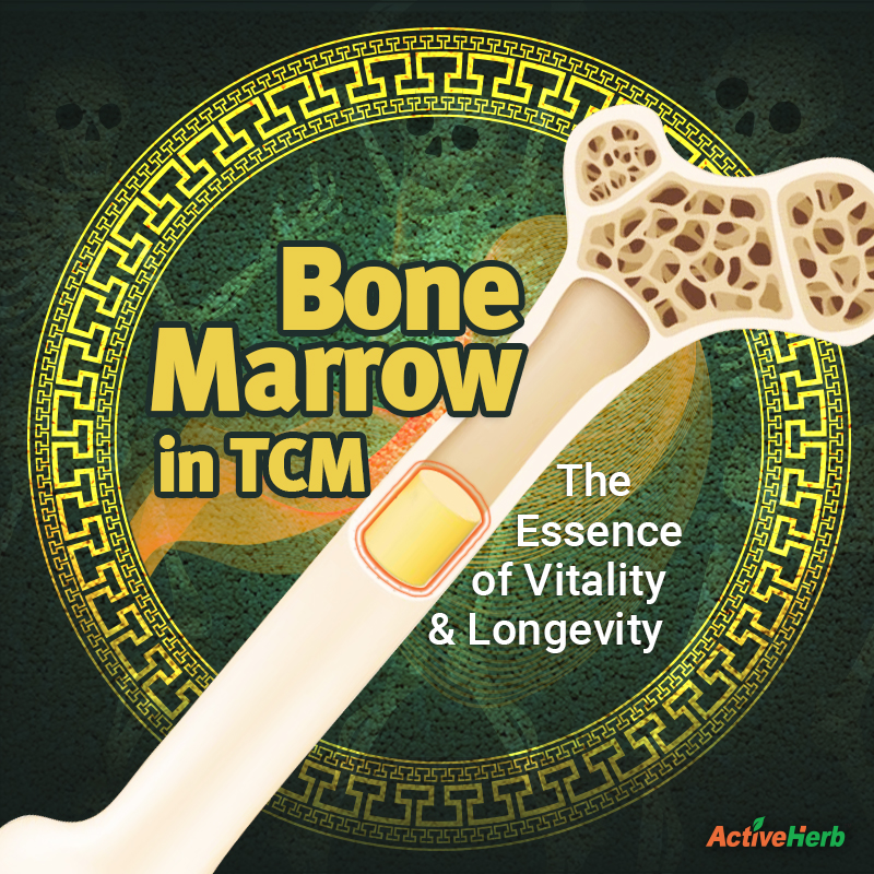 Bone Marrow in TCM: The Essence of Vitality and Longevity