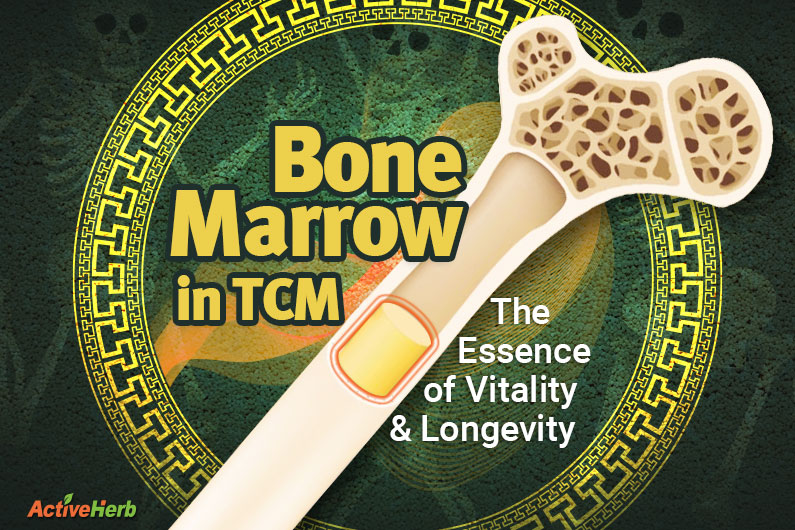 Bone Marrow in TCM