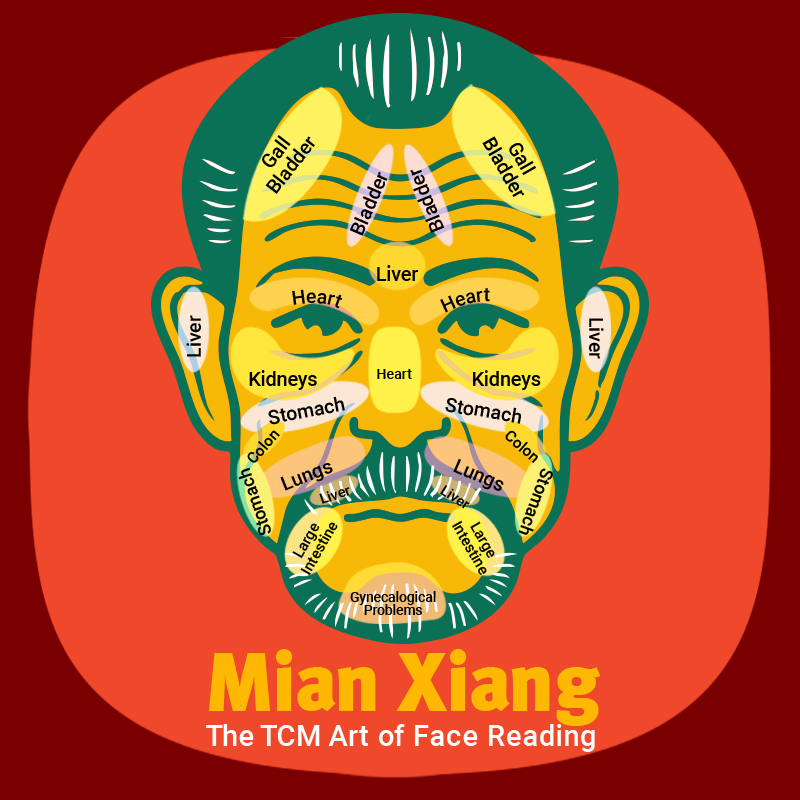 Mian Xiang: The TCM Art of Face Reading