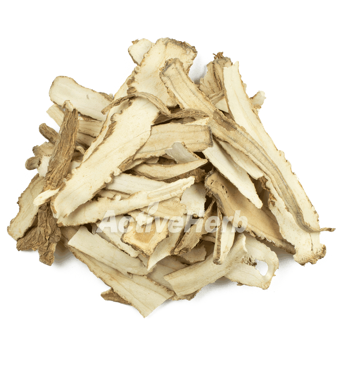 what is chinese angelica root used for