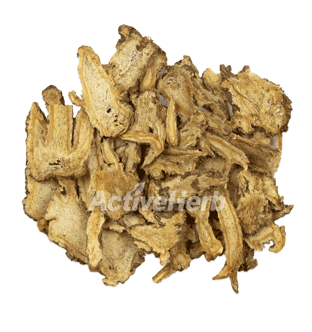 what is chinese angelica root used for