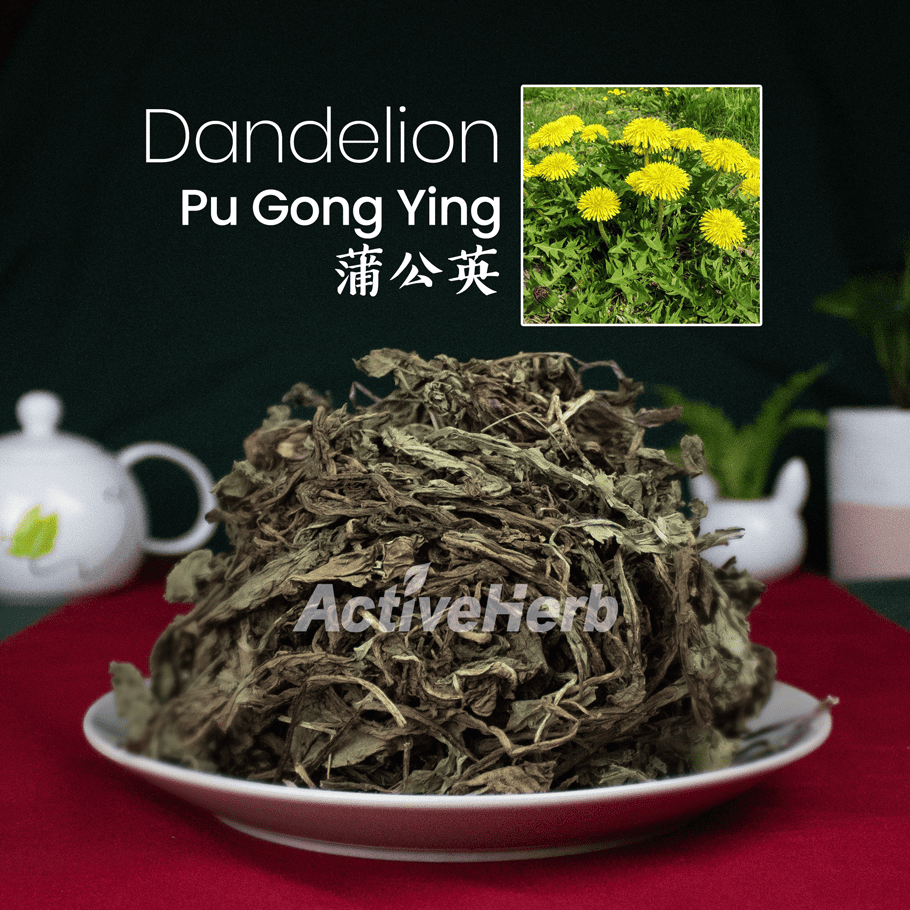 Pu Gong Ying (Dandelion, Herba Taraxaci, 蒲公英) bulk Chinese herb ...